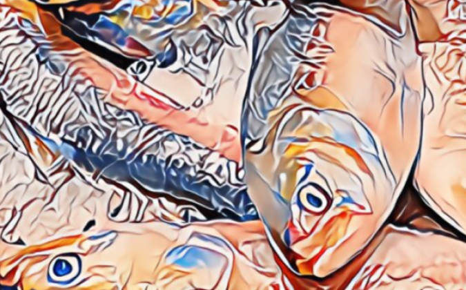 বঙ্গোপসাগরে জাহাজে লাফিয়ে উঠল তিন মণ ইলিশ