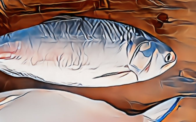 মধ্যরাত থেকে পদ্মা-মেঘনায় ২ মাস ইলিশ ধরা নিষিদ্ধ