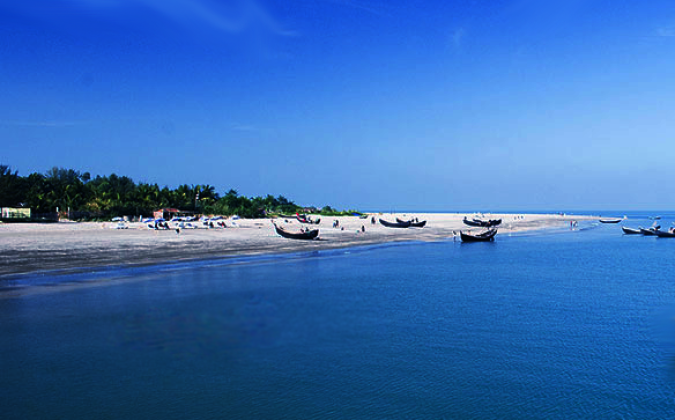 সেন্ট মার্টিনে ধরা পড়ল ১১০০ কোরাল মাছ, ৩৫ লাখে বিক্রি