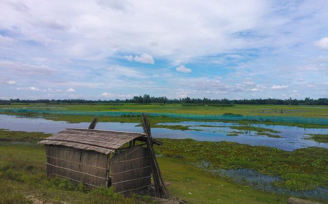 এক জানাজায় ৯ লাশ কাঁদছে গোটা গ্রাম