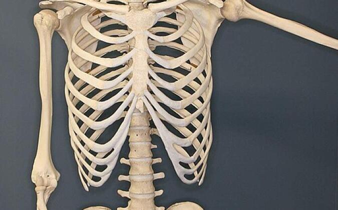 টাকা তুলতে মৃত বোনের কঙ্কাল নিয়ে ব্যাংকে হাজির ভাই