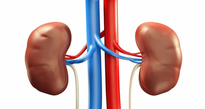 বসুন্ধরা চক্ষু হাসপাতালে ২৩ রোগীর অপারেশন