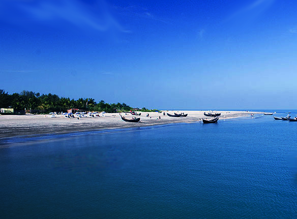 রাসেলস ভাইপার নিয়ে এতো আতঙ্ক কেন?